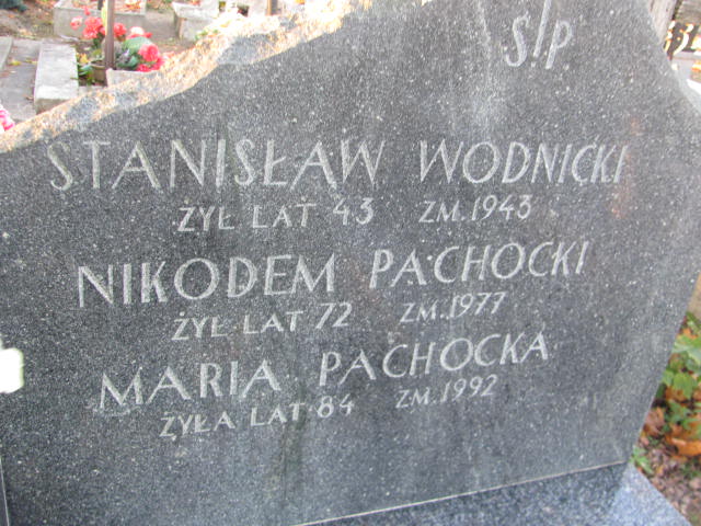 Nikodem Pachocki 1905 Garbatka Letnisko - Grobonet - Wyszukiwarka osób pochowanych