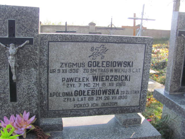 Paweł Wierzbicki 1968 Garbatka Letnisko - Grobonet - Wyszukiwarka osób pochowanych